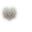 PlayerStatusWnd_ClassMark_195_Small.png