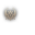 PlayerStatusWnd_ClassMark_97_Small.png