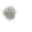 PlayerStatusWnd_ClassMark_99_Small.png